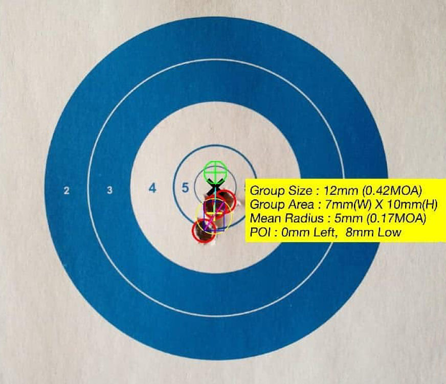 Steyr-Mannlicher SM12 SX Diana a 100 m Puntas TTSX
